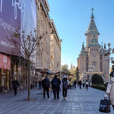 Appartamento The Artist - Central Apartment Near Victory Square Timisoara