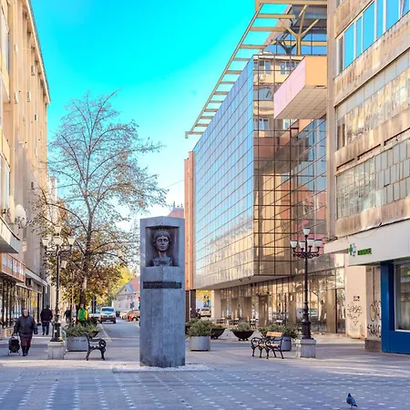 The Artist - Central Apartment Near Victory Square Timisoara