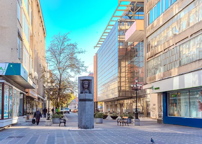 The Artist - 1bedroom In Center Тимишоара